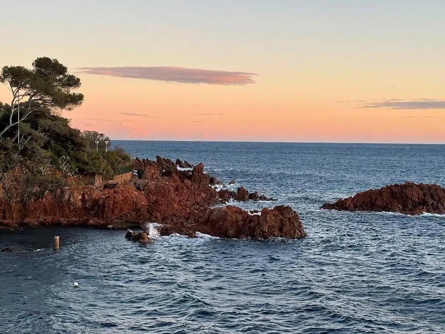 Rez-Jardin Renove A Saint-Raphael, Cote D'Azurアパートメント フランス